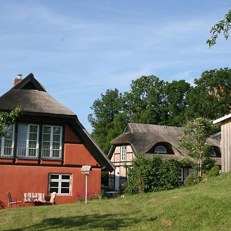 Dorphus Villa Neuenkirchen auf Rugen Kültér fotó